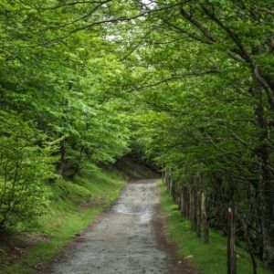 Un viaje interior al Camino de Santiago (4 - 10 sept) – RESERVA DE PLAZA