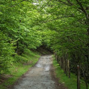 Un viaje interior al Camino de Santiago (7 - 13 octubre) – RESERVA DE PLAZA
