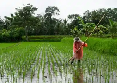 Bali: aventura por la isla de los Dioses