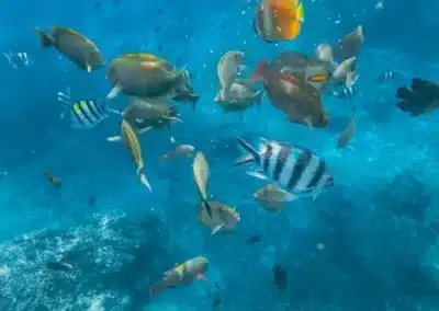 Bali: aventura por la isla de los Dioses