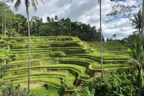 Bali: aventura por la isla de los Dioses